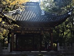 -汇龙潭