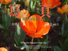-静安雕塑公园