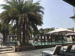 -鹭江潮餐厅•福建菜(鹭江佲家酒店)