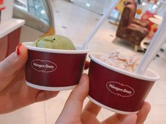-哈根达斯(石家庄北国店)