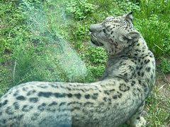 -青藏高原野生动物园