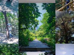 -黑龙潭风景区