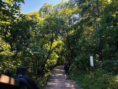 -帽儿山国家森林公园