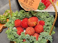 -酒城大贰火锅旗舰店