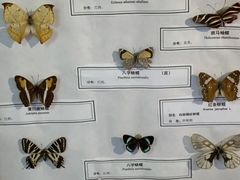 -中国湿地博物馆