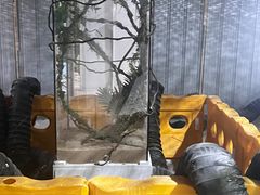 -319集结地真人CS·团建·轰趴馆(城外诚店)