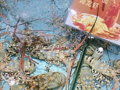 -渔民新村(番禺总店)