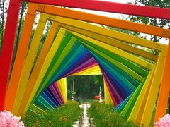 -合肥滨湖国家森林公园