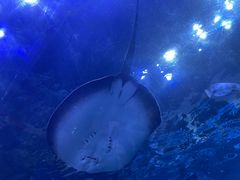 -华夏文旅西安度假区