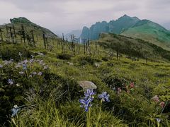 -秦岭风景区