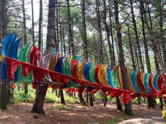 -康定跑马山风景区