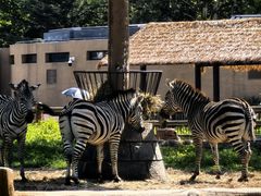 -大连森林动物园