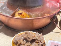 -东镇老火锅(长春路首店)