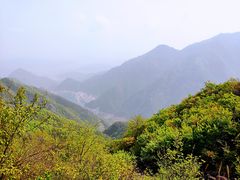 -江南天池