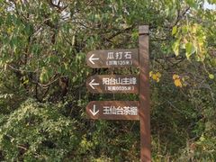 -阳台山自然风景区