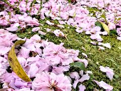 -苏州河梦清园环保主题公园