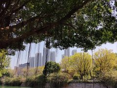 -光明港公园