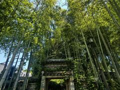 -木子山庄·安徽省老字号·中国炖锅宴