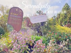 -东平国家森林公园