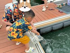 -小猫钓鱼海钓俱乐部(椰梦长廊店)