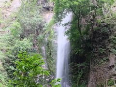 -莫里热带雨林景区