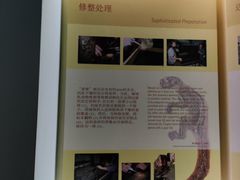 -辽宁古生物博物馆