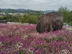 -婺源月亮湾