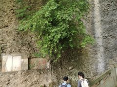 -窦圌山风景区