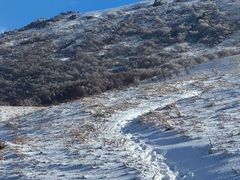 -灵山