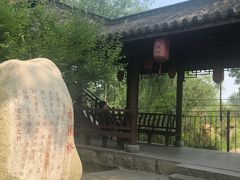 -合肥滨湖国家森林公园