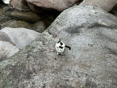 -崂山九水游览区
