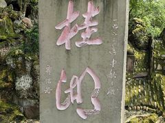 -桂湖森林公园