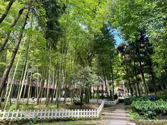 -庐山风景名胜区