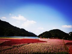 -广州市石门国家森林公园