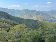 -莫干山风景区