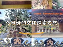 -海南槟榔谷黎苗文化旅游区