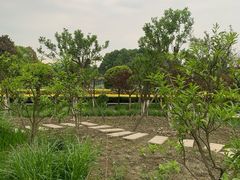 -洪湖家庭农场·团建·露营·会议