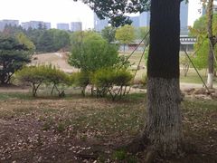 -白塘生态植物园