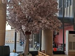-碧水豪园·足浴·SPA·汗蒸·那须汤泉(中山东路店)