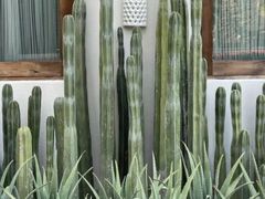 -上海交通大学(闵行校区)