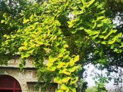 -北京石刻艺术博物馆(五塔寺)