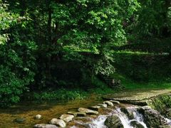 -广州市石门国家森林公园