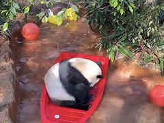 -济南野生动物世界
