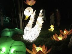 -昆山城市生态森林公园