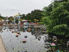 -白马涧龙池景区