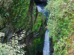-鹿院坪生态旅游景区