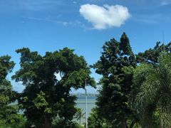 -海湾壹品·粤菜·早茶·烤鸭(拱北店)