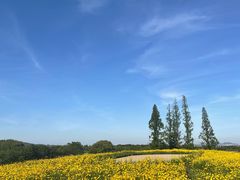 -良渚古城遗址公园