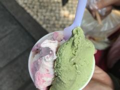 -柠檬车露(卖草地店)