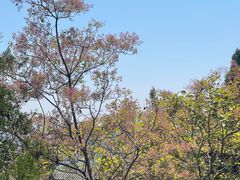 -石经山风景区